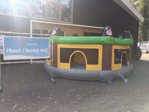 Wack a mole nu te huur en te koop bij WE-inflate Enschede 5