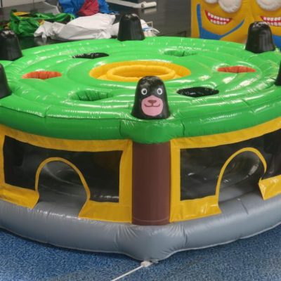 Whack-a-mole te huur en te koop bij WE-inflate Enschede 1